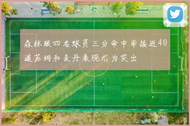 森林狼四名球员三分命中率接近40道苏姆和麦丹表现尤为突出