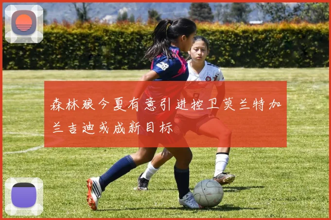 森林狼今夏有意引进控卫莫兰特加兰吉迪或成新目标